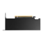 Видеокарта NVIDIA RTX PRO 2000 Blackwell 16 GB GDDR7